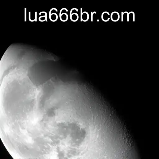 Unveiling the Mystique of Exclusivo: The Rise of LUA666